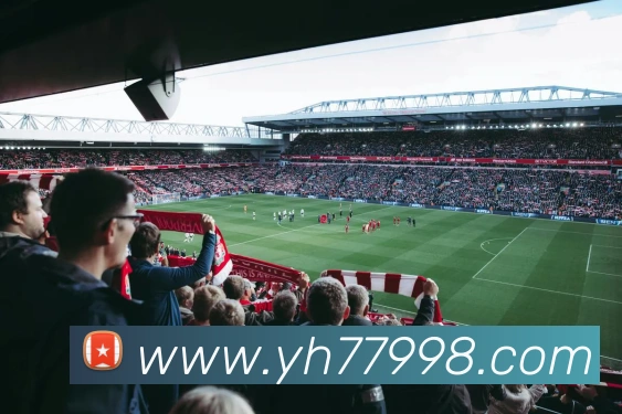 奖项证书